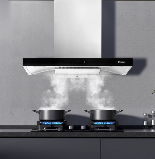 Brandt ����ȼ?x��)��? data-bd-imgshare-binded=